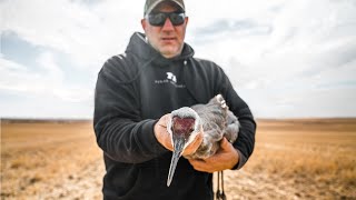 Cranes of Saskatchewan | S1E1 | The Last Pass by Final Approach