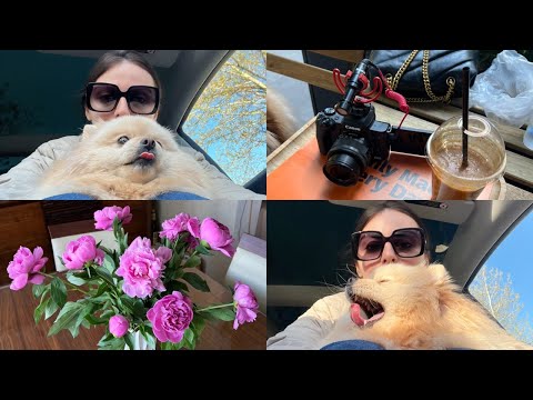 ერთი დღე ჩემთან და სანისთან ერთად