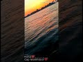 تامر عاشور ليه بفكر حالات وتس
