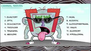 Cranial Nerves Regeneration Morphic Field | Ultimate Healing for 12 Cranial Nerves