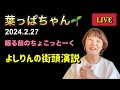【葉っぱちゃん】眠る前のちょこっとーく