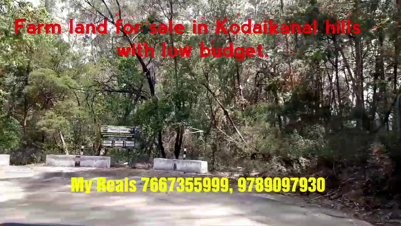 Farm land for sale in Kodaikanal. Beautiful land with low budget. YouTube