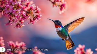 Gentle Spring Breeze & Soft Piano 🌸 Deep Relax • Mental Reset • Inner Peace #11 screenshot 3