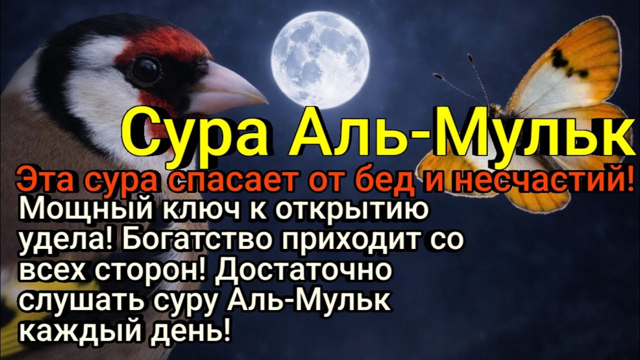 Ключ к успеху и одновременно надёжная крепость, защищающая семью от различных жизненных испытаний