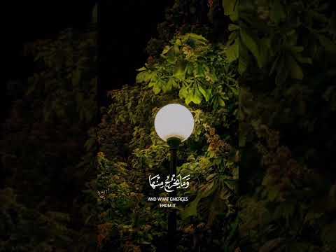 تلاوة طيبة للشيخ سعد الغامدي 