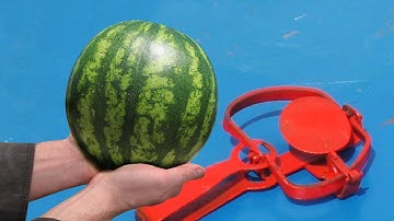 Топ 10 Экспериментов