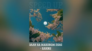 Элли на маковом поле - ближе (speed up)