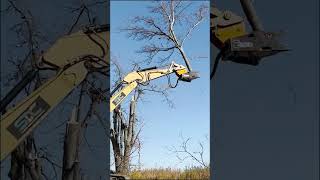 Sanders Demolition Crushing