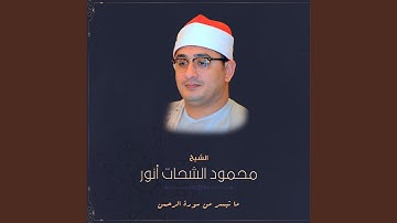 ما تيسر من سورة الرحمن