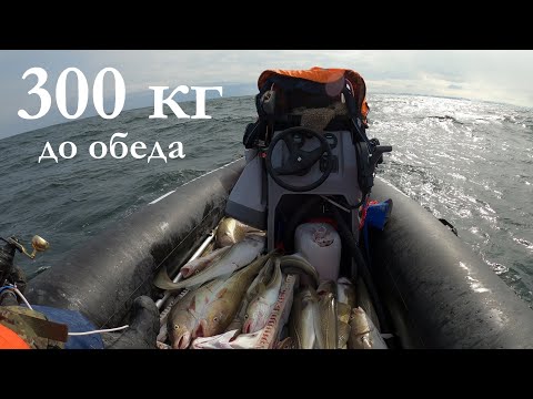 Видео: ЛУЧШАЯ МОРСКАЯ РЫБАЛКА СЕЗОНА / BEST SEA FISHING OF THE SEASON