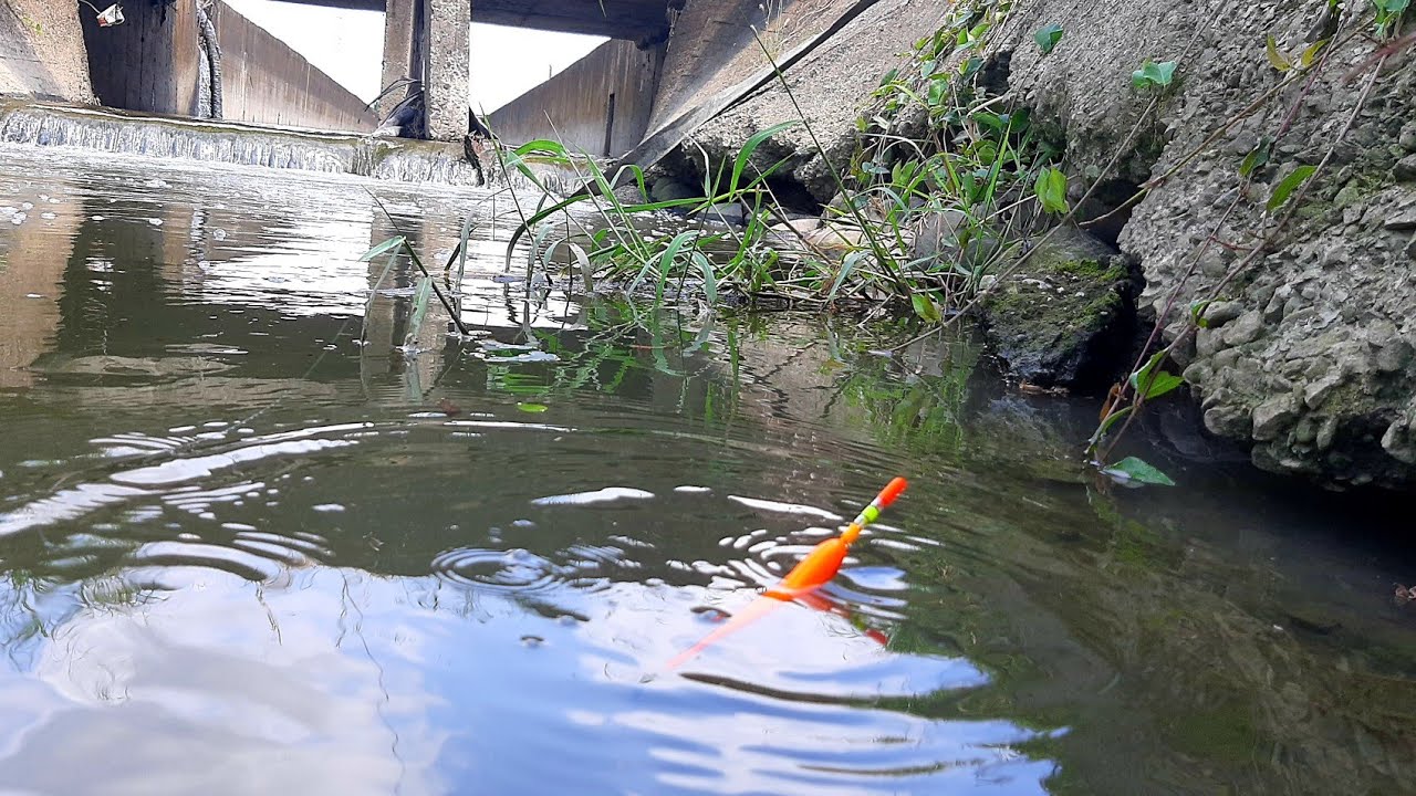 Awalnya Sih Ragu Tapi Stelah Mencoba Mancing Di Parit Sawah Ini Malah Panen Strek 
