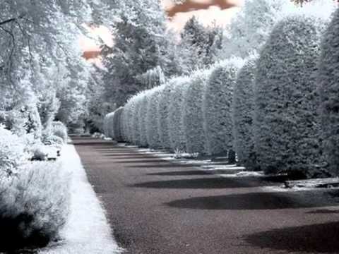 michel-berger---le-paradis-blanc