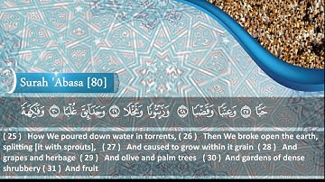 الشيخ محمود هاشم - سورة عبس