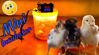 How to Make Mini egg Incubator // 3 Egg Incubator // SG Rangpur