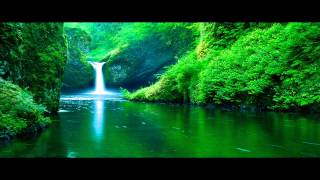 Mario Lopez - The Sound of Nature (Lightforce Radio Cut) HD