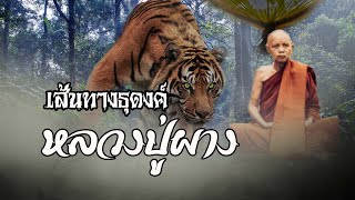 เส้นทางธุดงค์หลวงปู่ผาง | EP.52 เรื่องเล่าพระธุดงค์ | หลวงปู่ผาง จิตตคุตโต