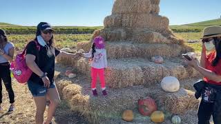 Pumpkin Patch 10/18/2020