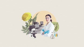 From Open Data to Open Knowledge