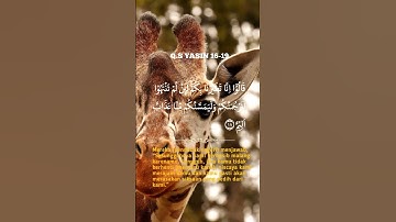 قران كريم بصوت جميل #قران_كريم