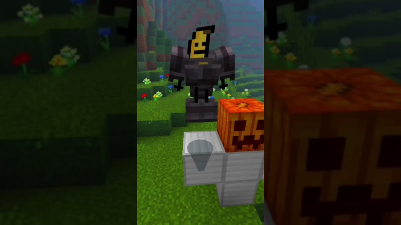 #minecraft #viraliza #memes #gaming #minecraftmemes