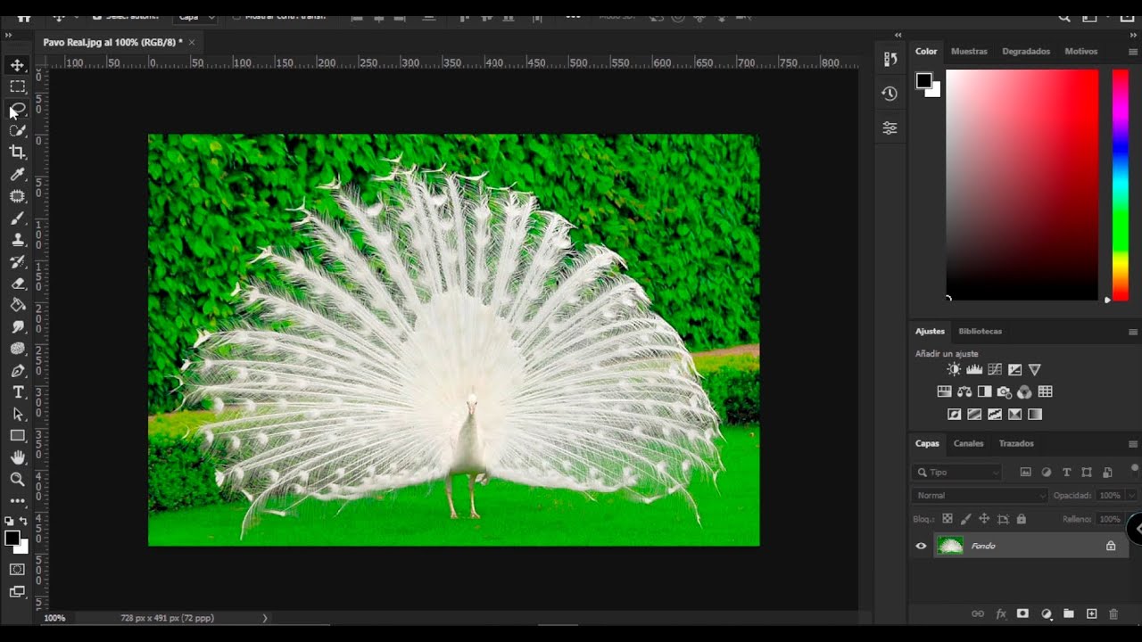 Seleccionar y Aplicar máscara en 2021 Select and Apply