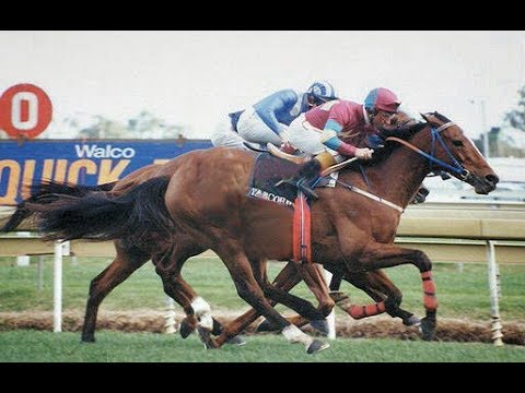1992 ABC TV News _ Horse Racing _ Autumn Racing - YouTube
