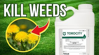 Famous How to KILL Broadleaf Weeds WITHOUT Killing Your Grass Profile