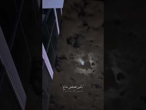 يا شوقي يا ليل الليل ياليل يا شوقي غريب ال مخلص