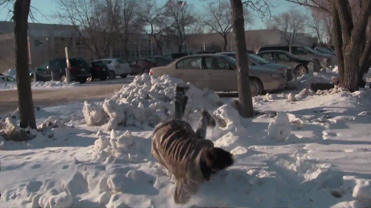 [ServerCrashers] Uncharted 2 Is As Real As Life