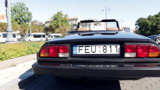 Alfa Romeo Spider 1983 1983 Alfa Romeo Spider Interior