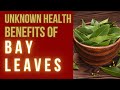 Unknown Health Benefits of Bay Leaves