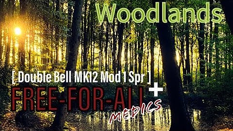 Airsoft Free For all with my friends w/ my new AEG [ Double Bell MK12 Mod 1 Spr ]
