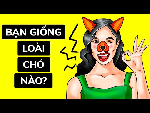 Bạn Giống Loài Chó Nào? | Kiểm Tra Tính Cách