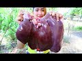 Yummy Pig Liver Sour Sweet Cooking - Pig Liver Cooking - Cooking With Sros
