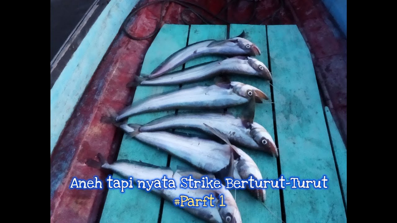 Viral !! Casting Lais Tembiring Strike nya Berturut Turut 