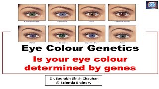 Human Eye color genetics (Do genes determine our eye color) Why do eyes have color