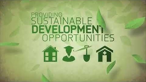 What is REDD+   YTPak com