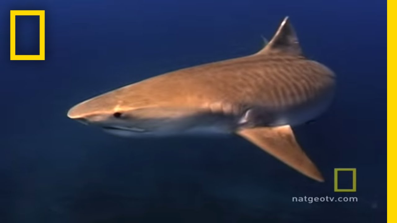 Hawaii | Exploring Oceans