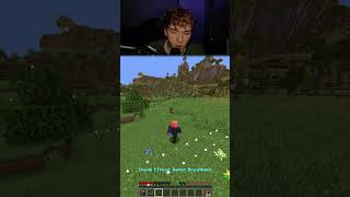 minecraft but each chunk gives a random effect
