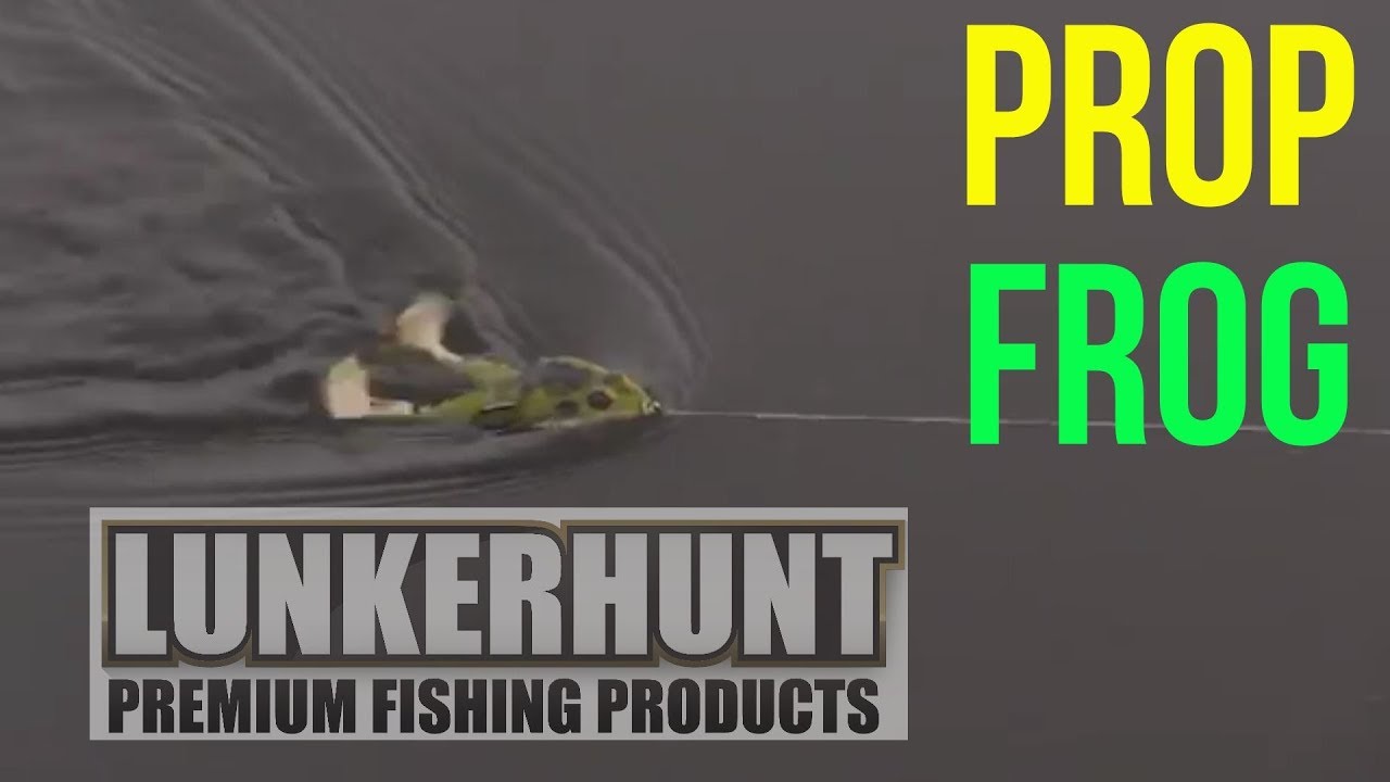 Lunkerhunt prop frog, first look and how to fish with it 