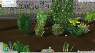 Harvestable Plant Effects Sample | BrazenLotus Sims 4 CC Mod