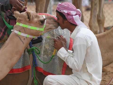 هملول العوضي اداء الجفراني