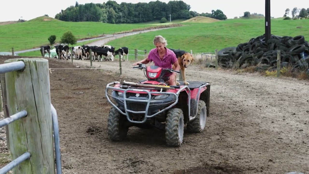 ON-FARM with Liz Hodgson Snippet 10 No Stress