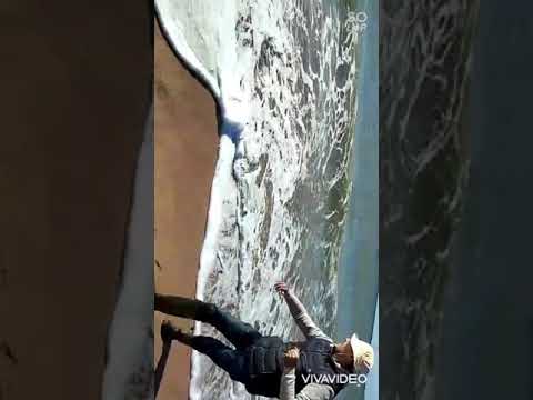  سمك الراي اللاسع البروق