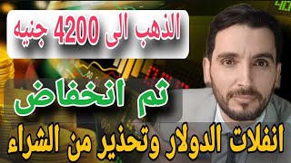 ? عاجل ? الذهب الى 4200 عيار 21 ? انفلات الدولار ? وتحذير من الشراء ⚠️