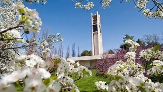 BYU offers amnesty for students who report rape