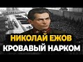 НИКОЛАЙ ЕЖОВ: КАК ЖИЛ КРОВАВЫЙ НАКРОМ?