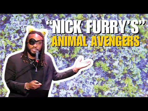 Hampton's Animal Avengers
