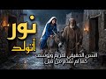 نور اتولد Light Is Born ترنيمة ميلادية مؤثرة عن ميلاد المسيح 
