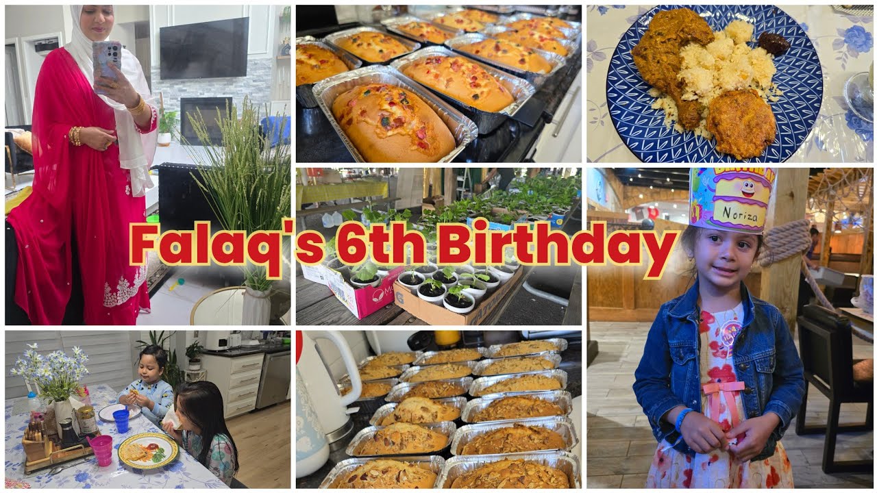 ফালাক এর জন্মদিন আর আমার গাছ মেলার প্রস্তুতি